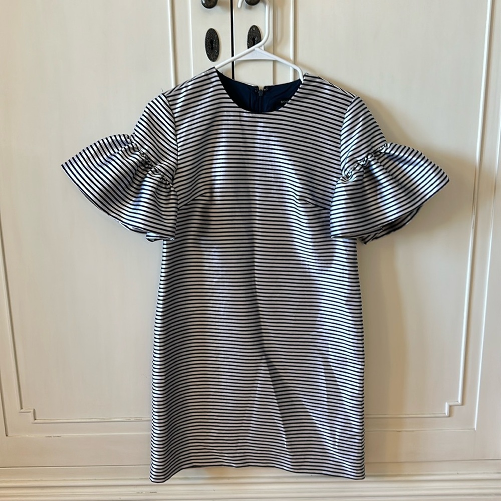 Banana Republic Ruffle Sleeve Striped Dress 2P